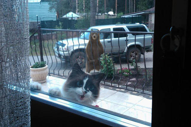Morning Picdump