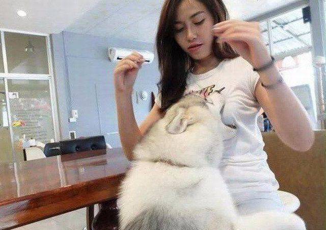 Daily Picdump