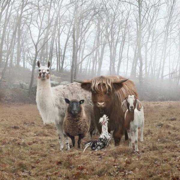 Daily Picdump