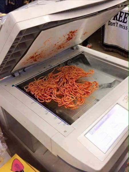 Morning Picdump
