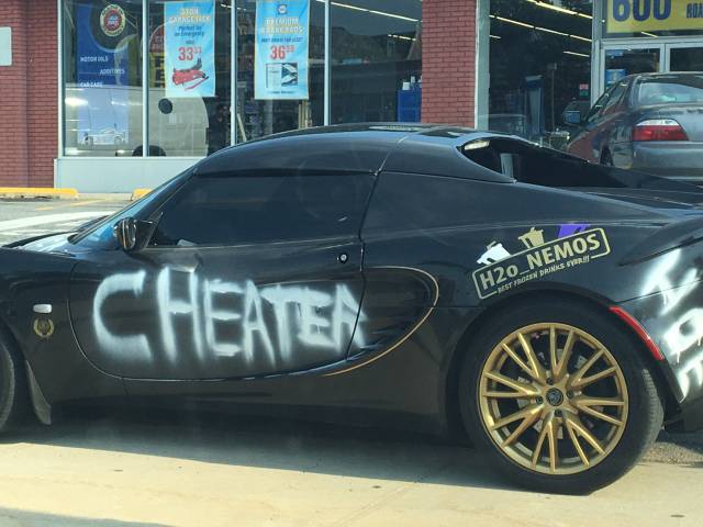 Morning Picdump