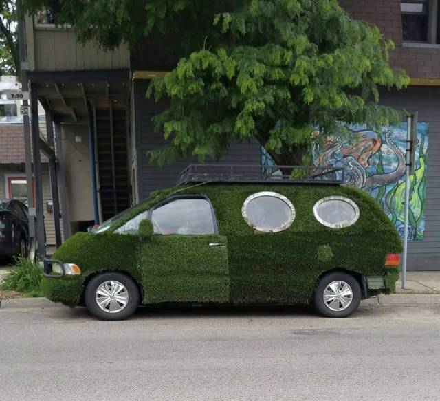 Content Image