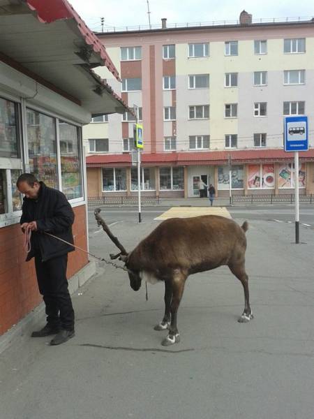 Morning Picdump