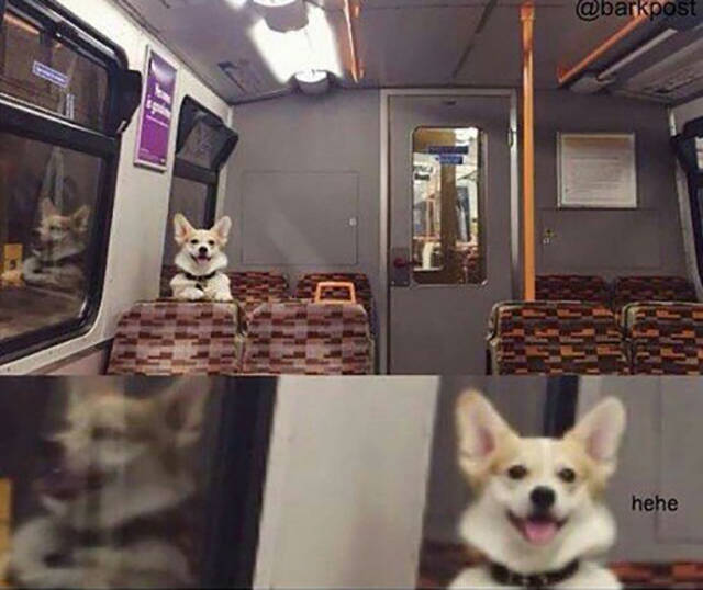 Content Image
