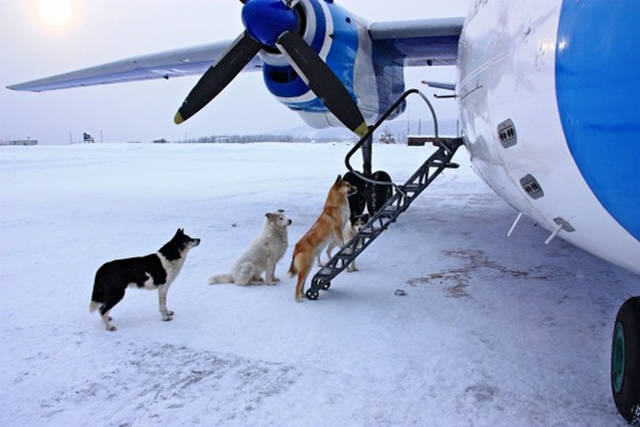 Morning Picdump