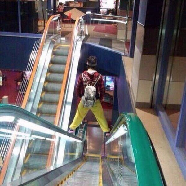 Daily Picdump