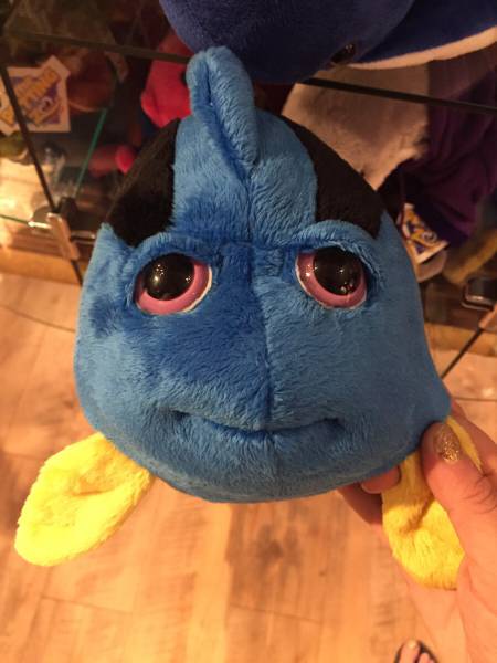 Content Image
