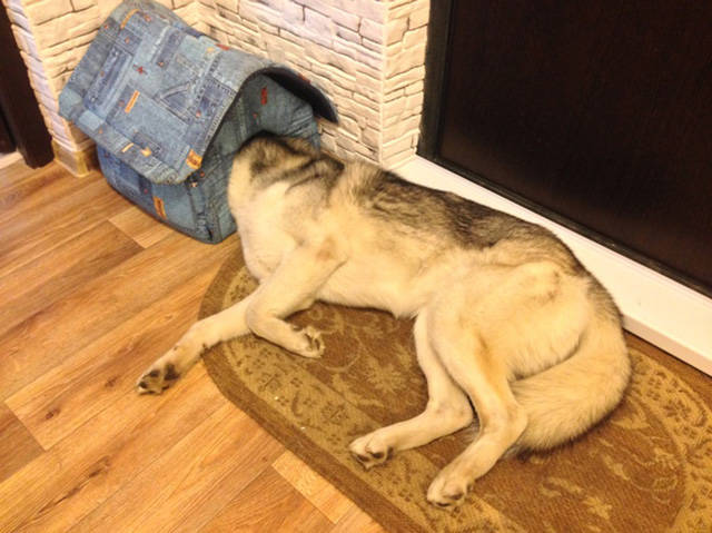 Morning Picdump