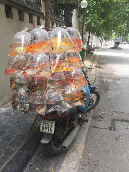 Morning Picdump