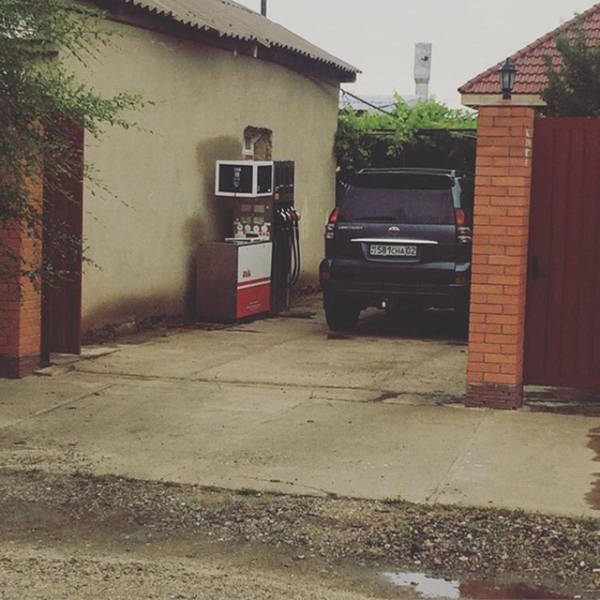 Morning Picdump