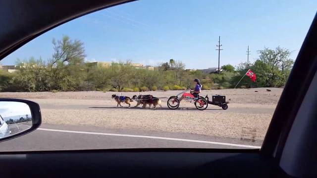 Morning Picdump