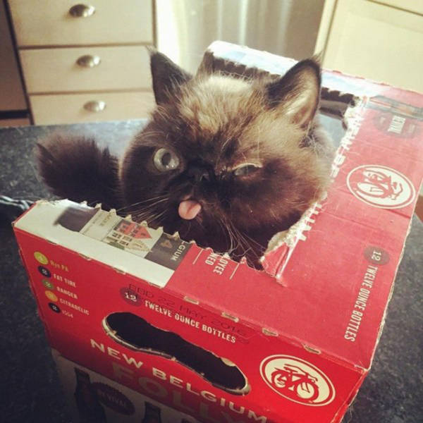 Morning Picdump