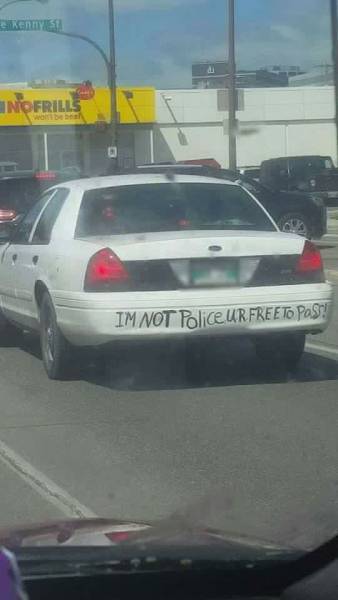 Morning Picdump