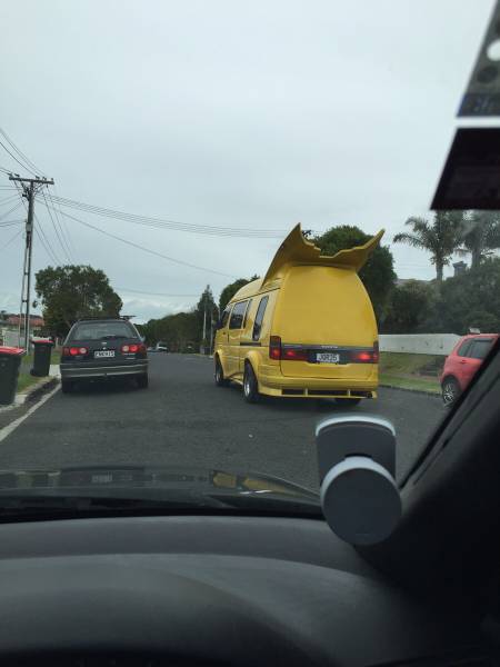Morning Picdump