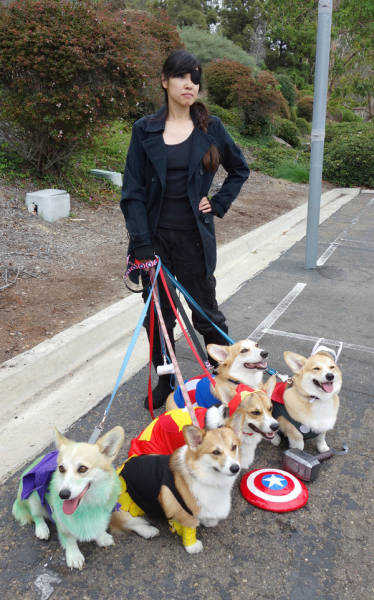 Morning Picdump