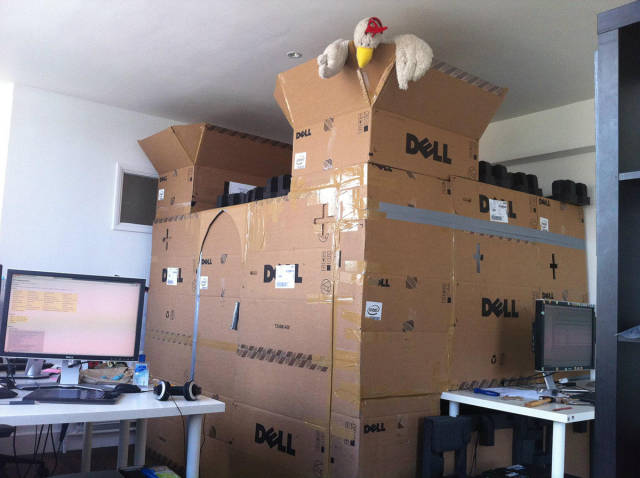 Morning Picdump
