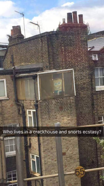 Morning Picdump