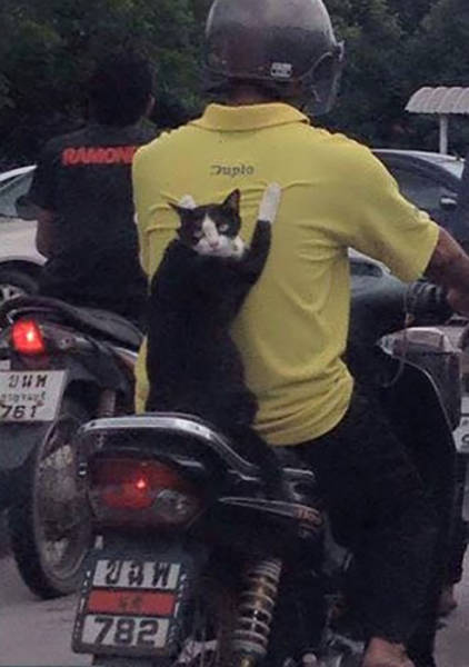 Morning Picdump