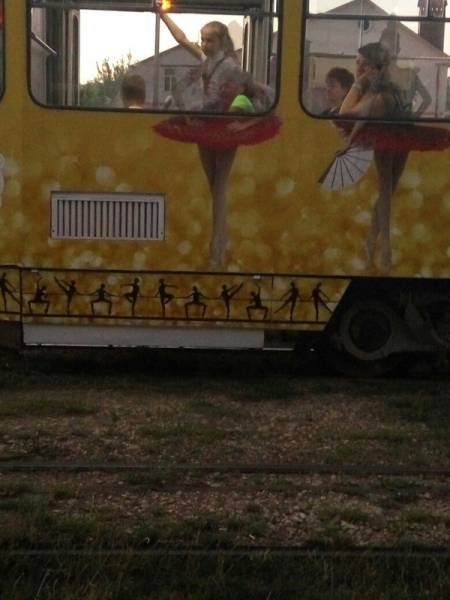 Morning Picdump