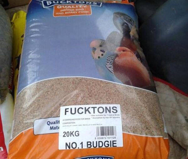 Content Image
