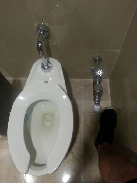 Content Image