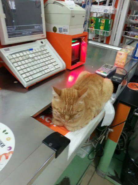 Morning Picdump