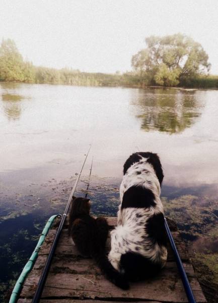 Morning Picdump