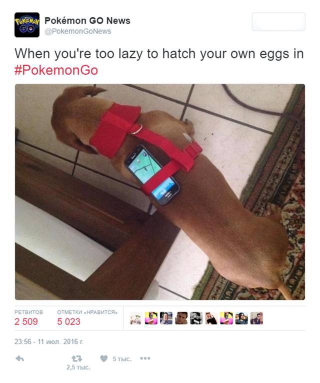 Morning Picdump