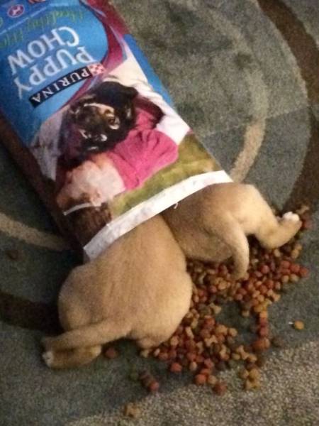 Morning Picdump