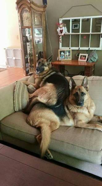 Morning Picdump