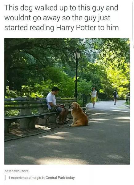 Morning Picdump