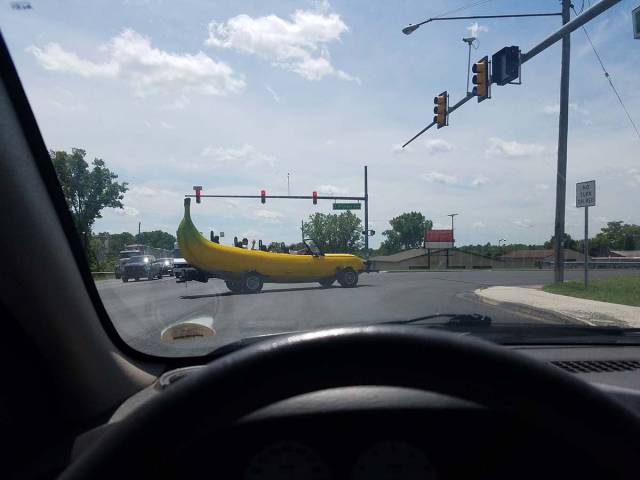 Morning Picdump