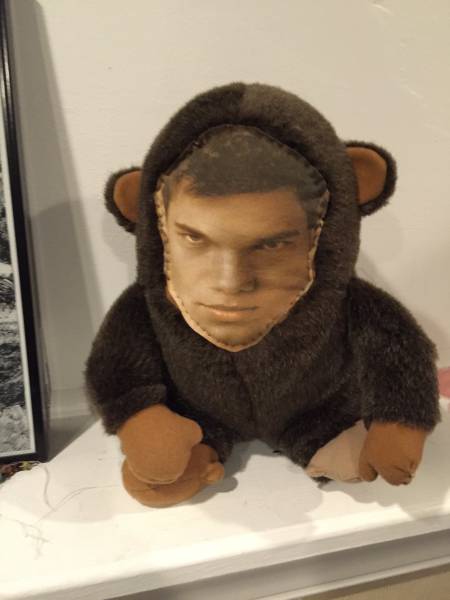 Content Image