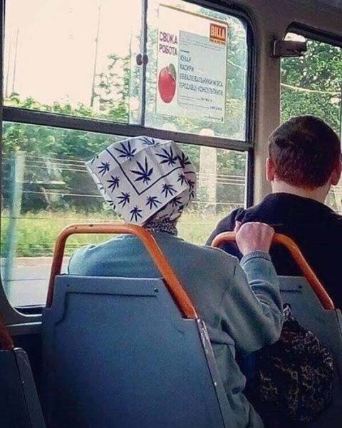Content Image