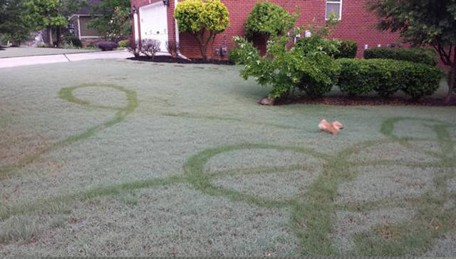 Morning Picdump