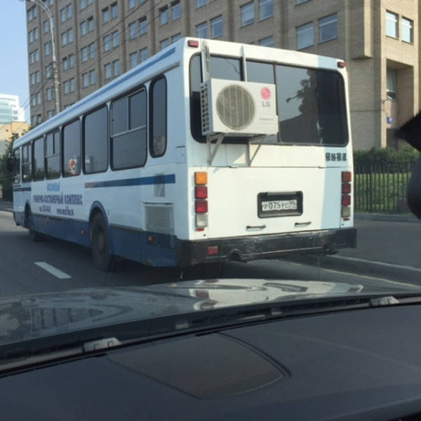 Morning Picdump