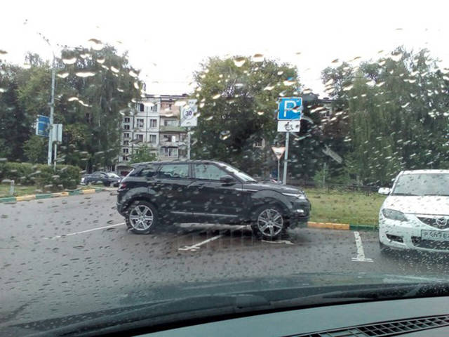 Morning Picdump