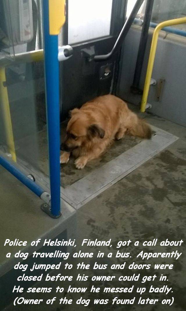 Daily Picdump