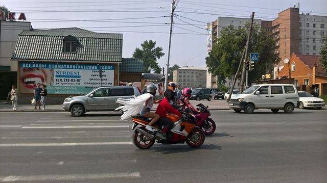 Daily Picdump