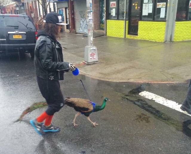 Content Image