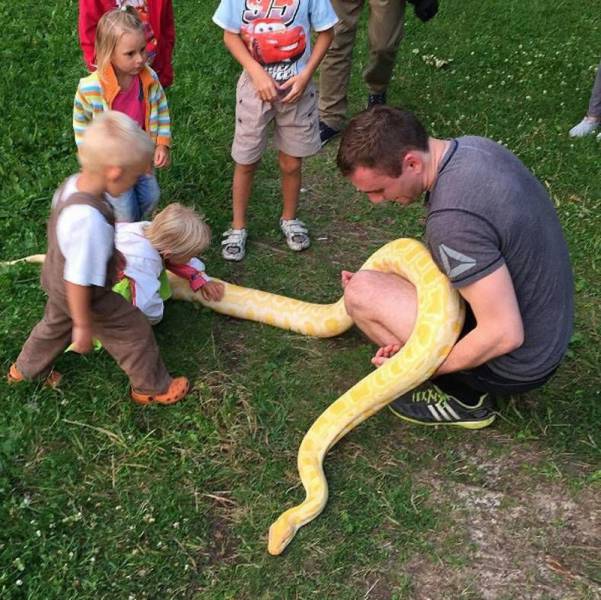 Content Image