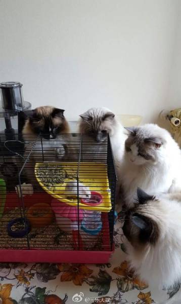Morning Picdump