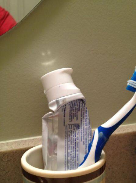 Morning Picdump