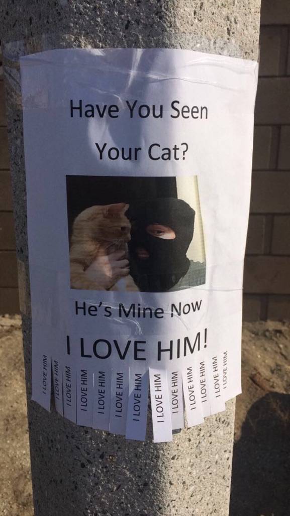 Content Image