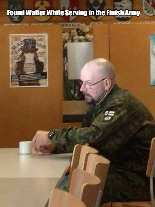 Content Image
