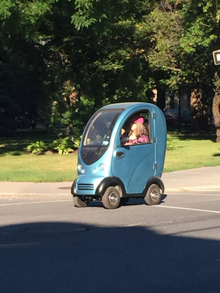 Morning Picdump