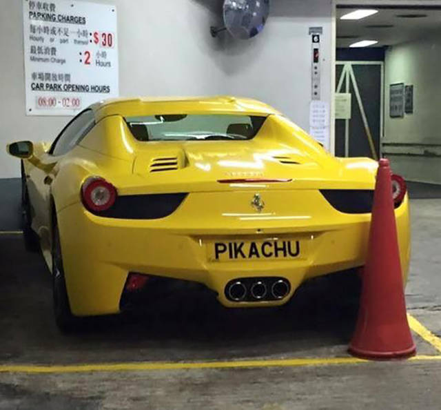 Morning Picdump