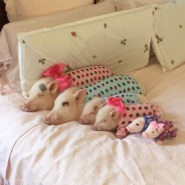 Morning Picdump