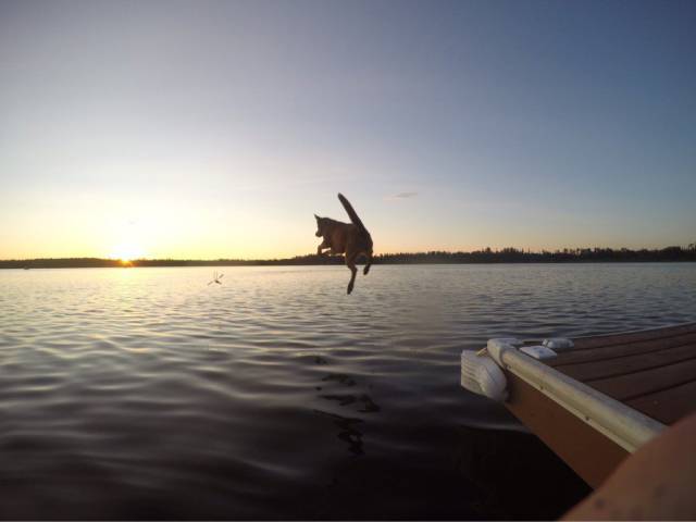 Daily Picdump [WEEKEND EDITION]