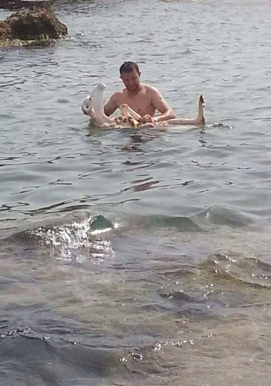 Daily Picdump [WEEKEND EDITION]